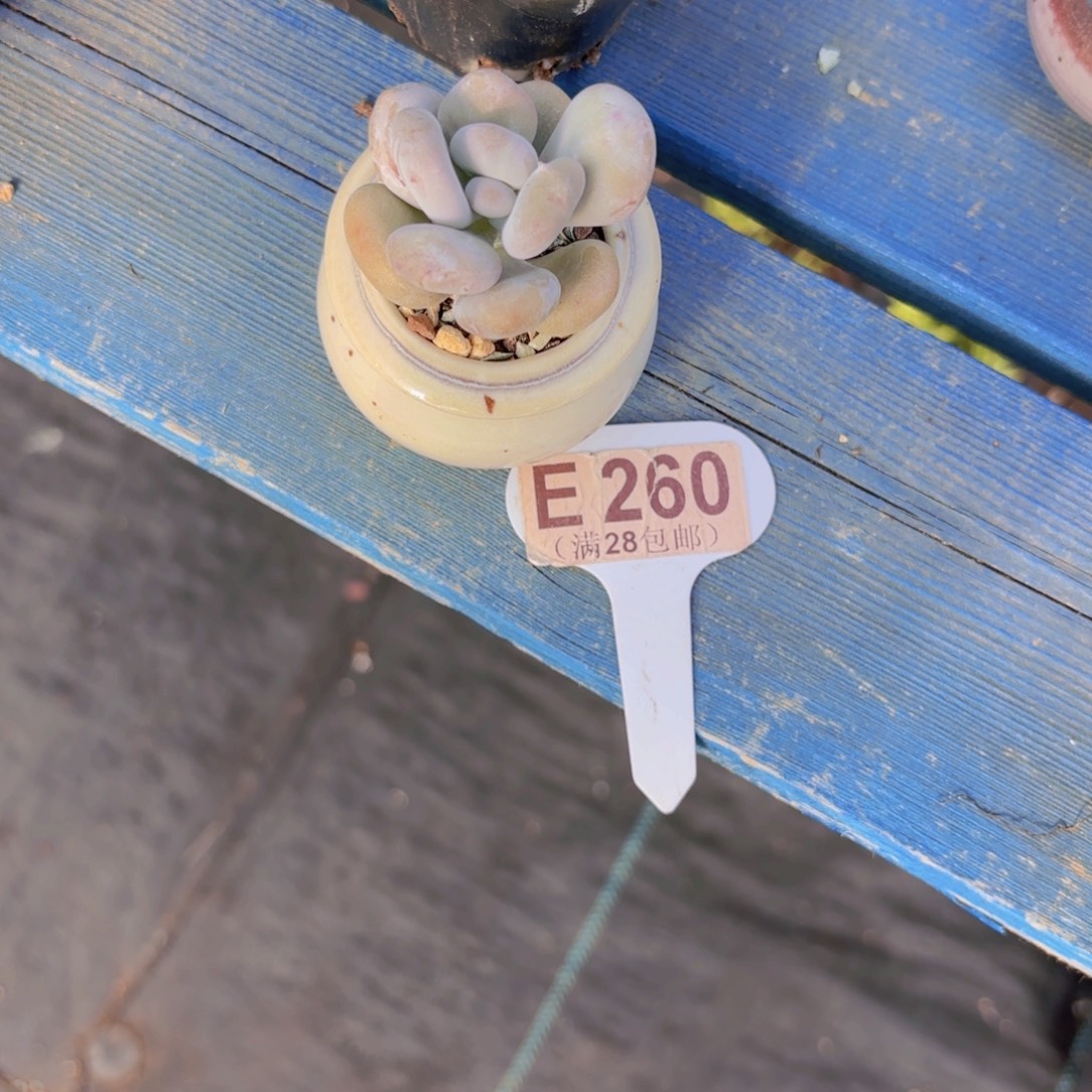 小****E260油煎丸子一物一拍