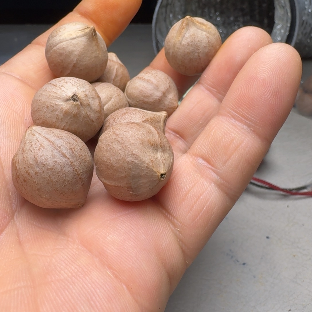 冲***胡橄榄核手串橄榄核