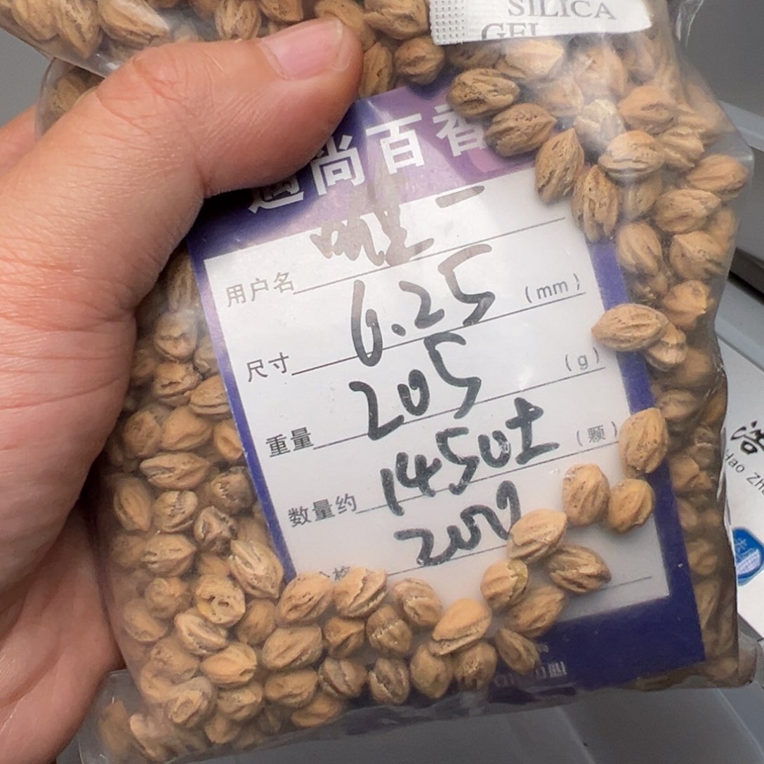 柏香籽/百香籽吊坠唯*