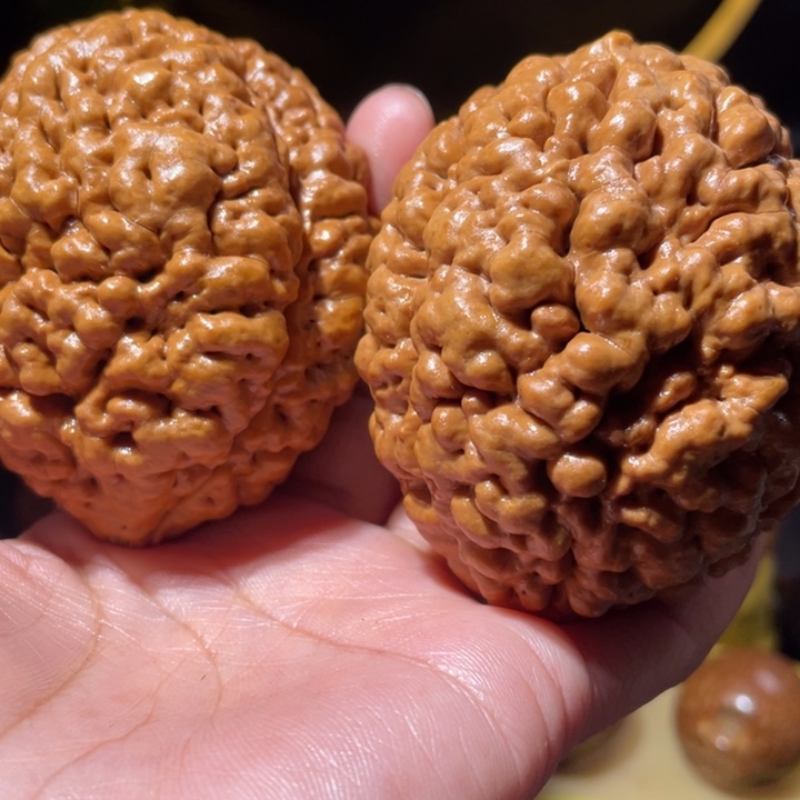 桃核把件疙瘩龙金刚菩提子