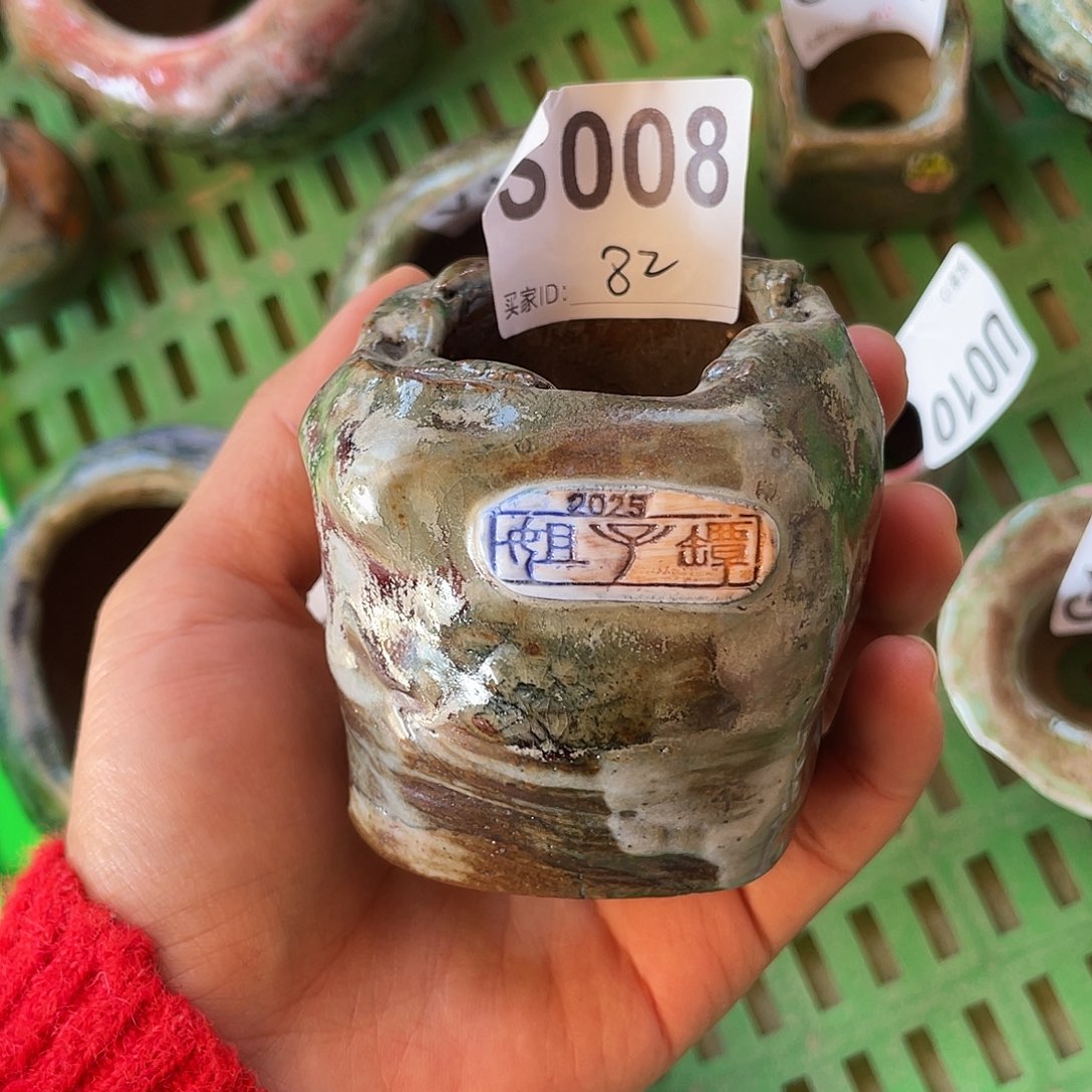 坛子姐花盆 小白孤品 内口4百搭