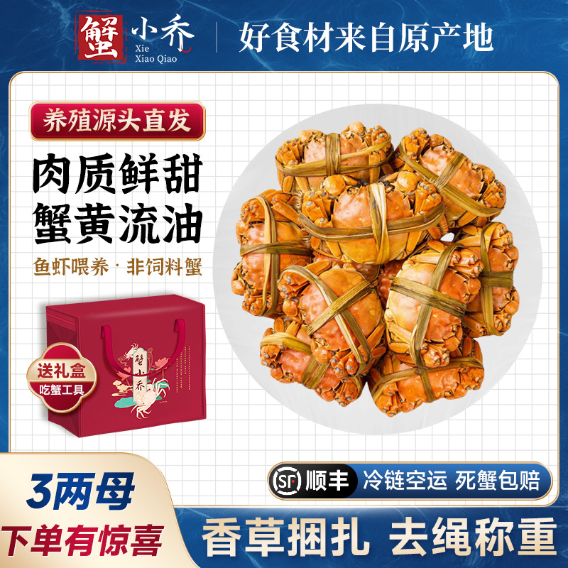 【3两母蟹】（送大公蟹）6-10只蟹小乔精品大闸蟹江苏固城湖螃蟹活蟹