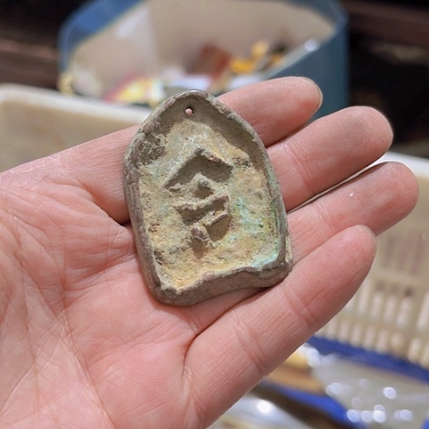 香榧木老*Fggfghvfgccg