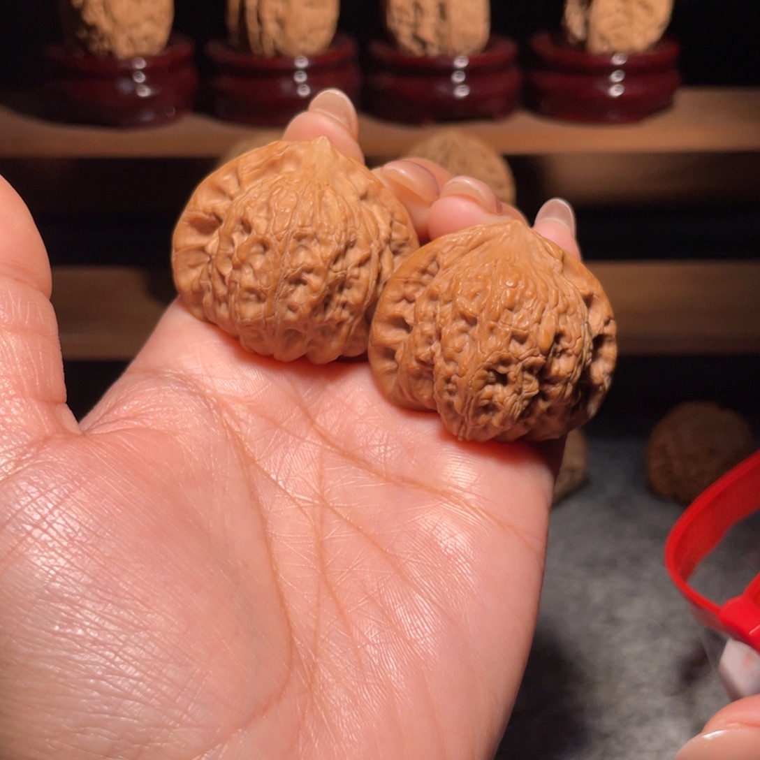 迷你崔凯全品（上色快）38