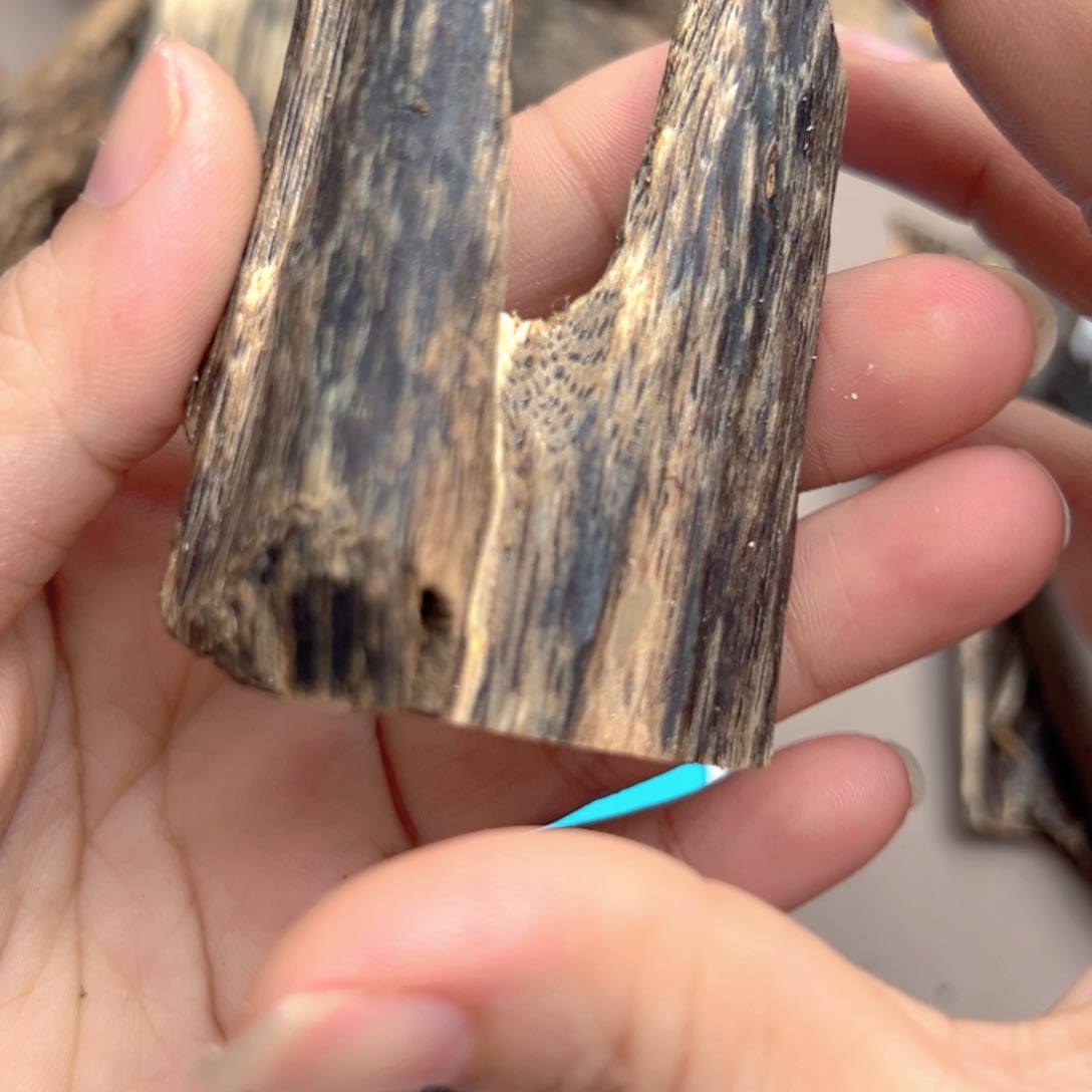 棋楠沉香虫漏15克