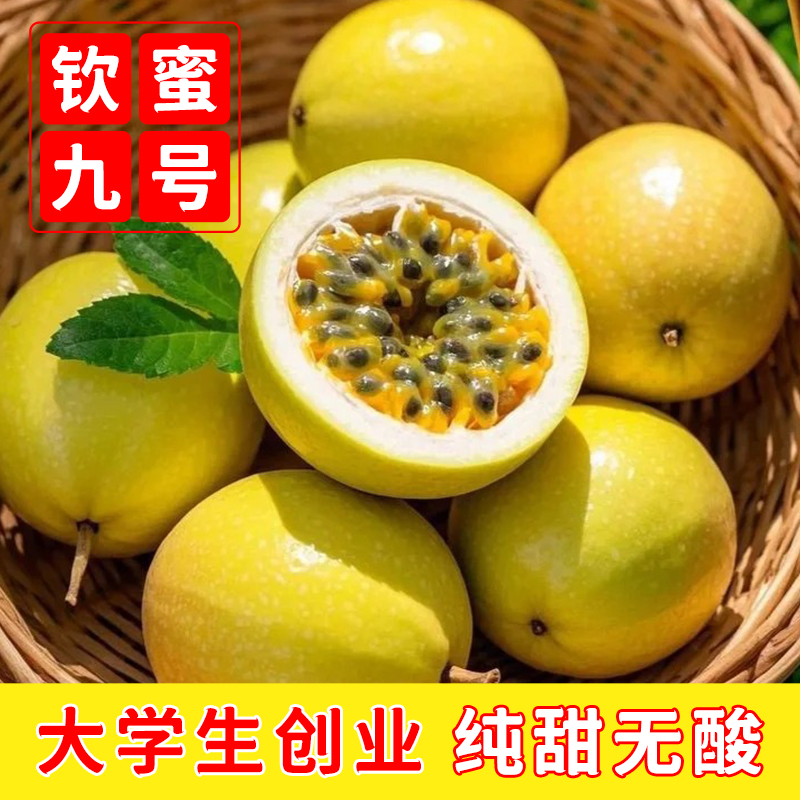 正宗钦蜜9号黄金百香果特大果礼盒装海南新鲜百香果孕妇整箱包邮