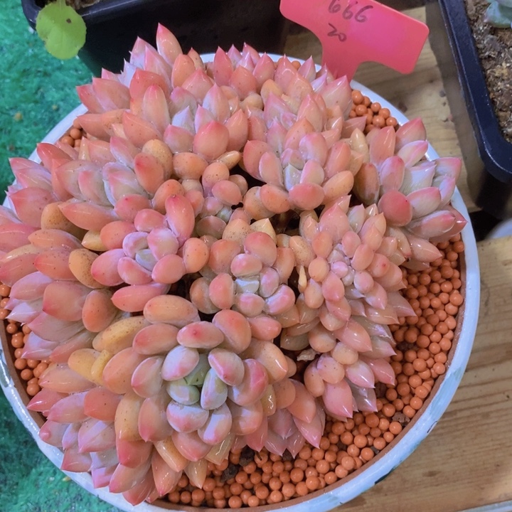 是吗这不还没有下班