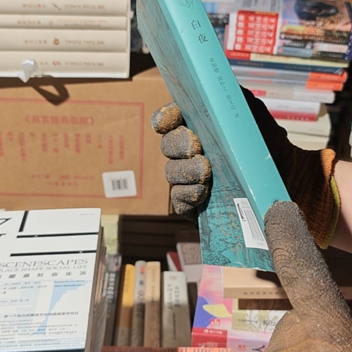 白夜平装库存书瑕疵介意勿拍微瑕