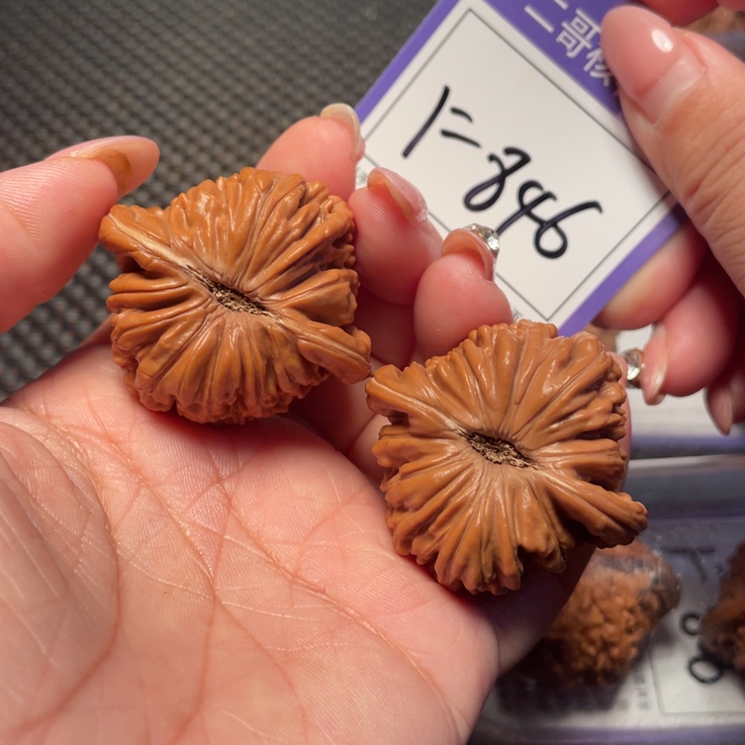 文玩核桃把件846号楼子42