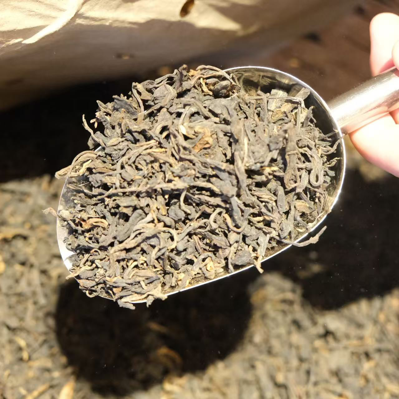 荒野大树六堡茶 2016年 50g