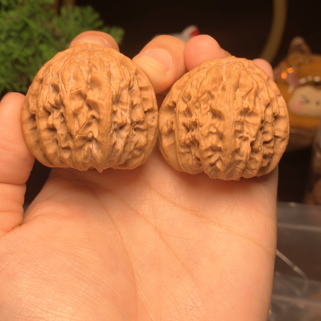 文玩核桃把件白狮子