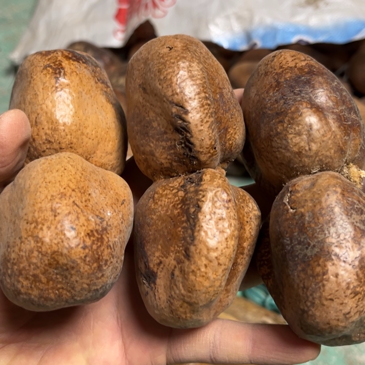 千眼菩提吊坠佛心果双胞胎，三个。