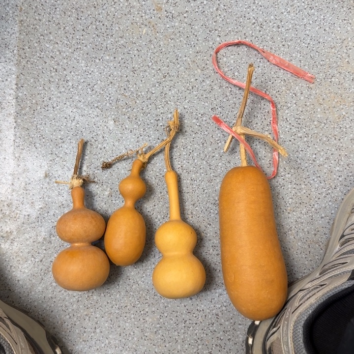 福利价格9.9不退不换