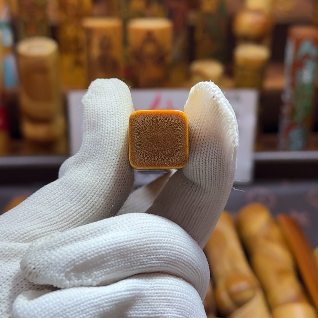 竹类精品实心玉竹