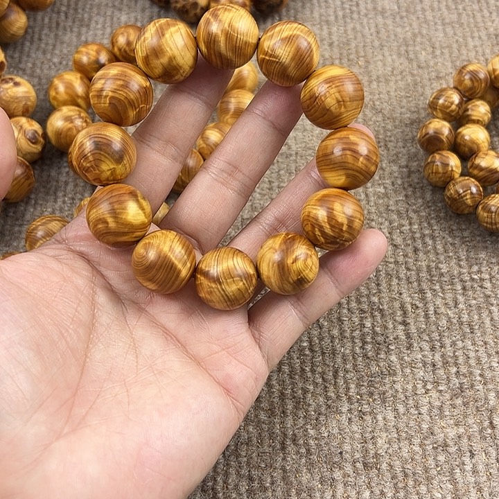 木孙*者太行崖柏2.0闪电龙胆。。。。。。