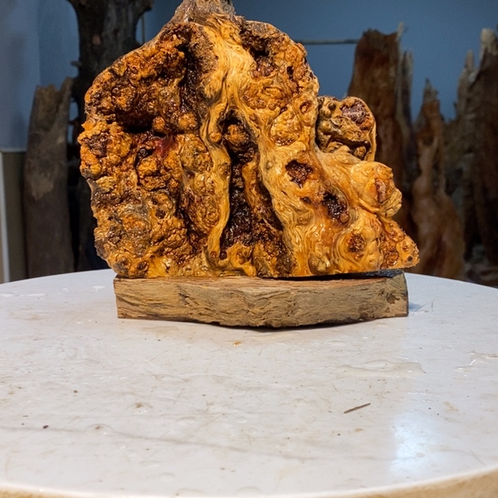 無*我们都是你的粉丝45