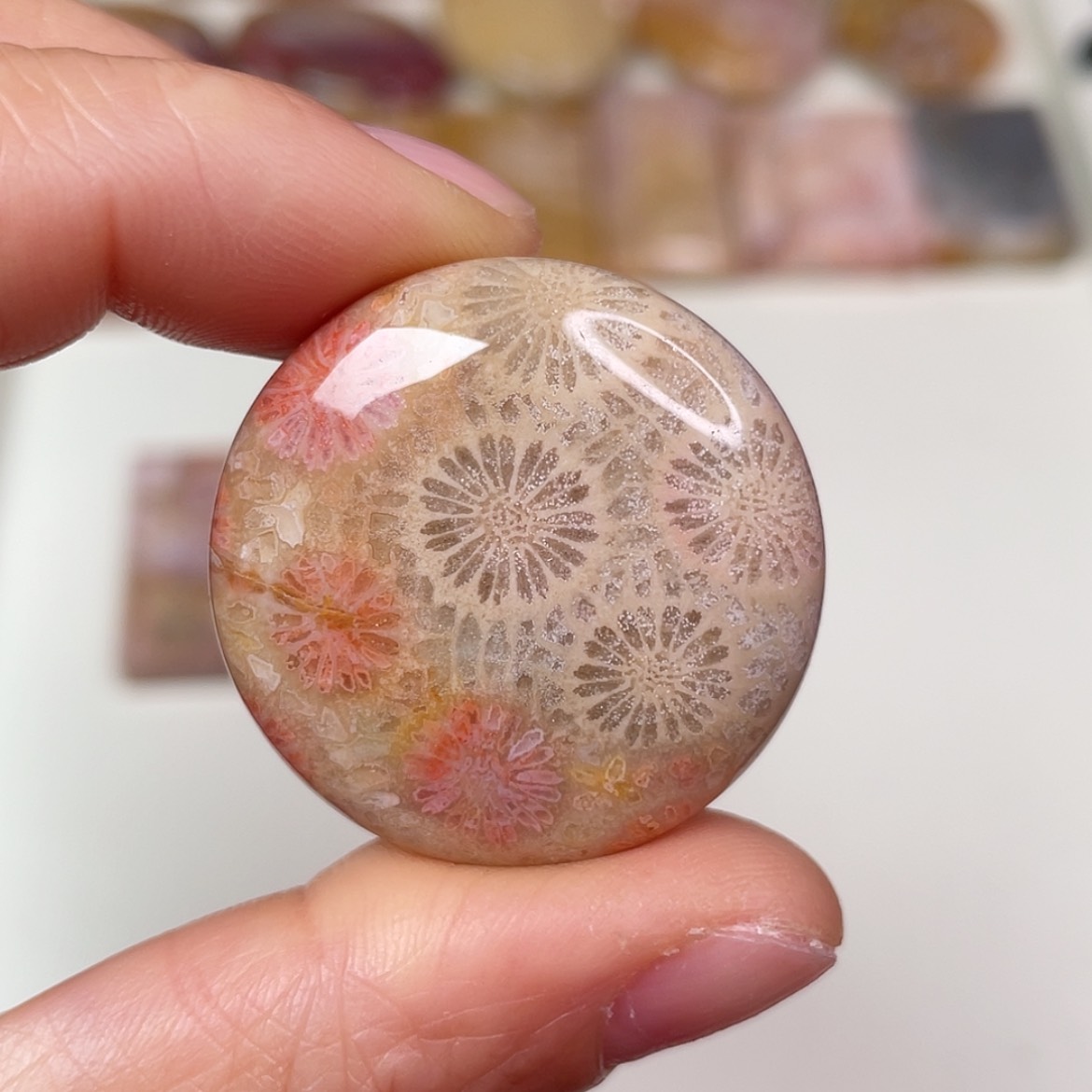 【闪购商品】未镶嵌吊坠(赠链)硅化玉