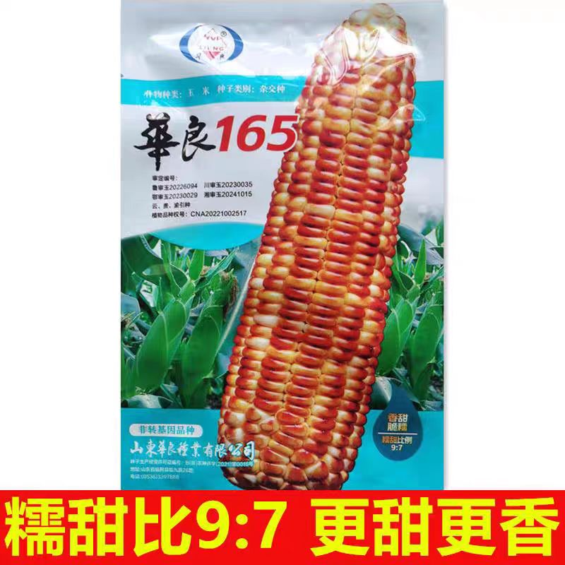 华良165玉米种子杂交咖啡色白轴甜加糯7:9鲜食香脆甜糯蔬菜种子