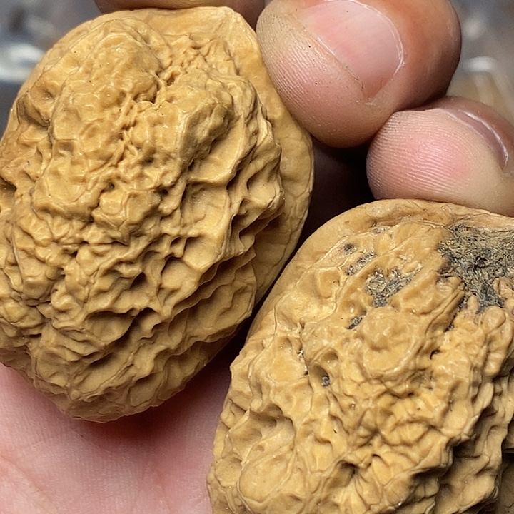 把件文玩核桃云南铁核桃96