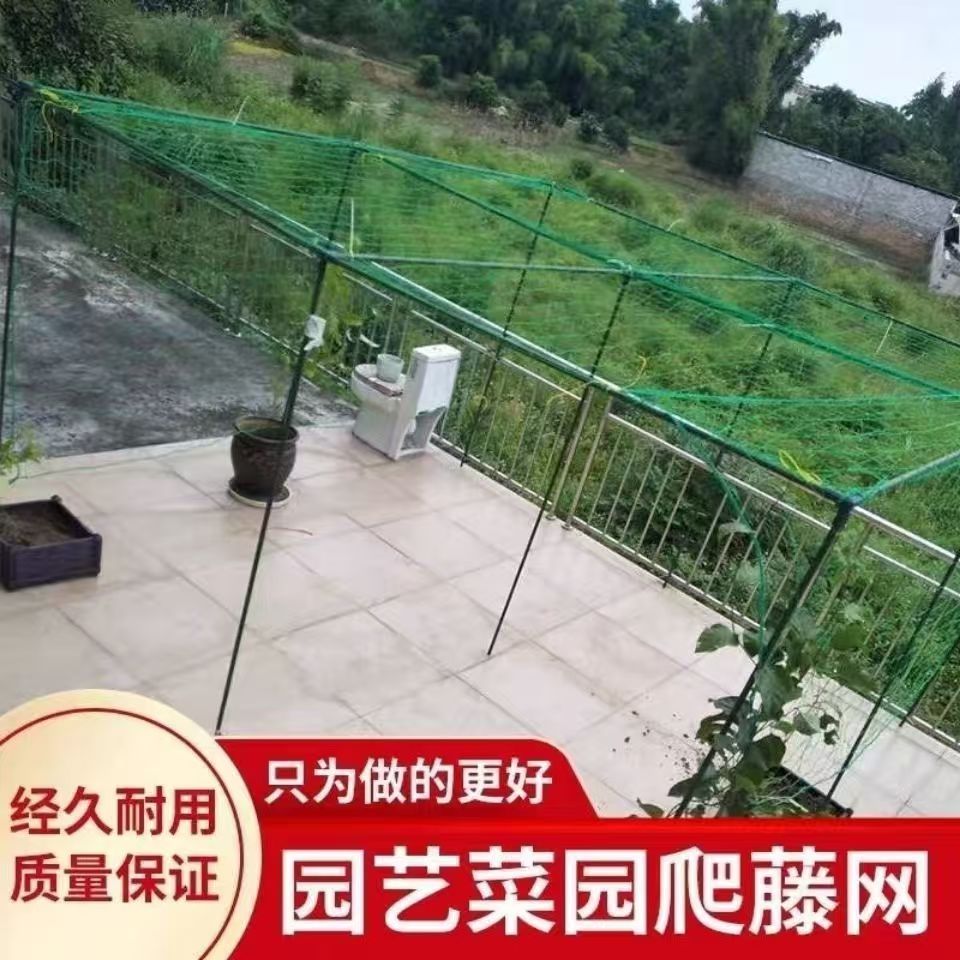 植物爬藤网百香果网丝瓜豆角网