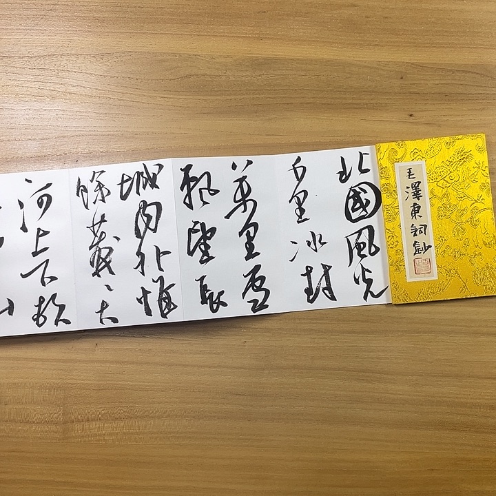 书法中书协会员作品