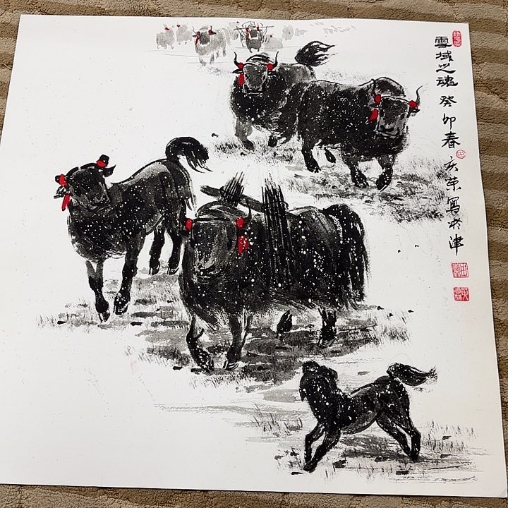 国画花鸟等多种鸟类的栖息地50.50