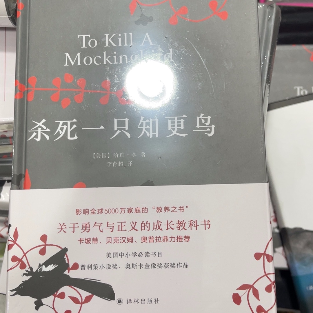 杀死一只知更年以外其他