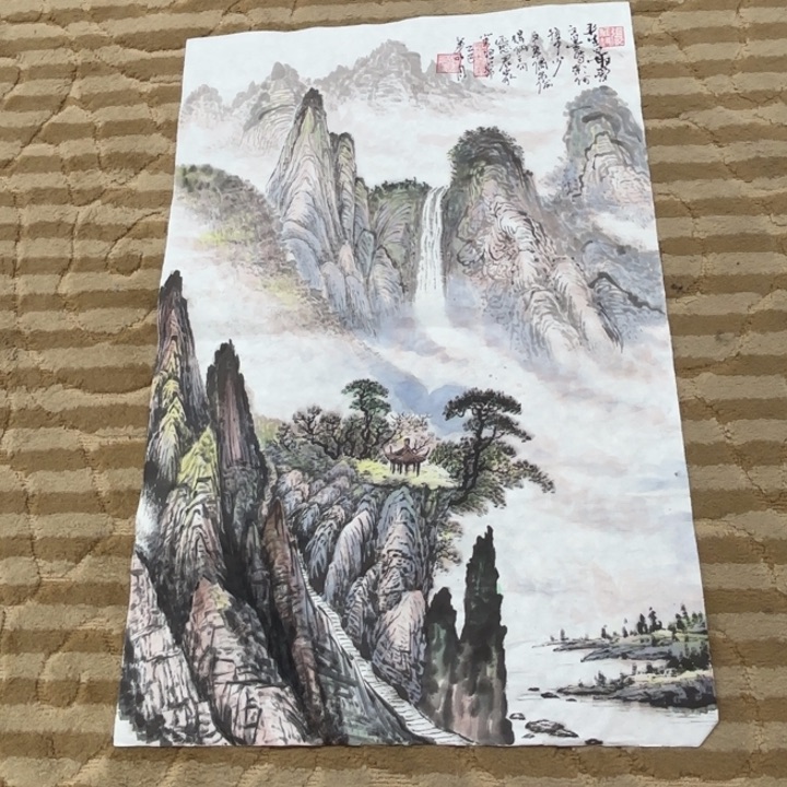 国画花鸟等多种鸟类和鸟类