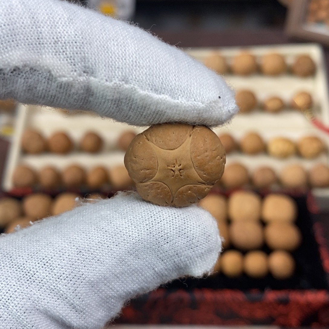 凤眼菩提吊坠19.4五星单颗