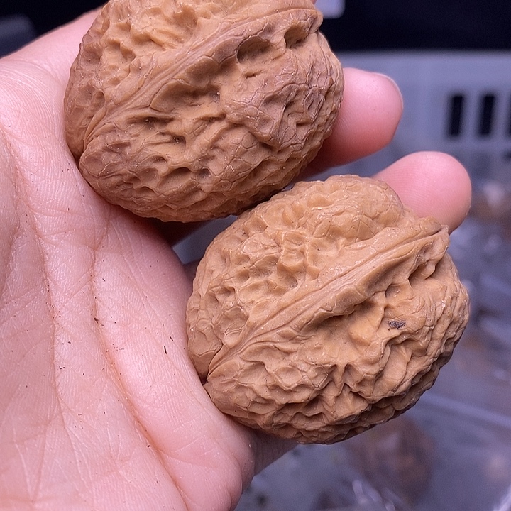 文玩核桃吊坠  225