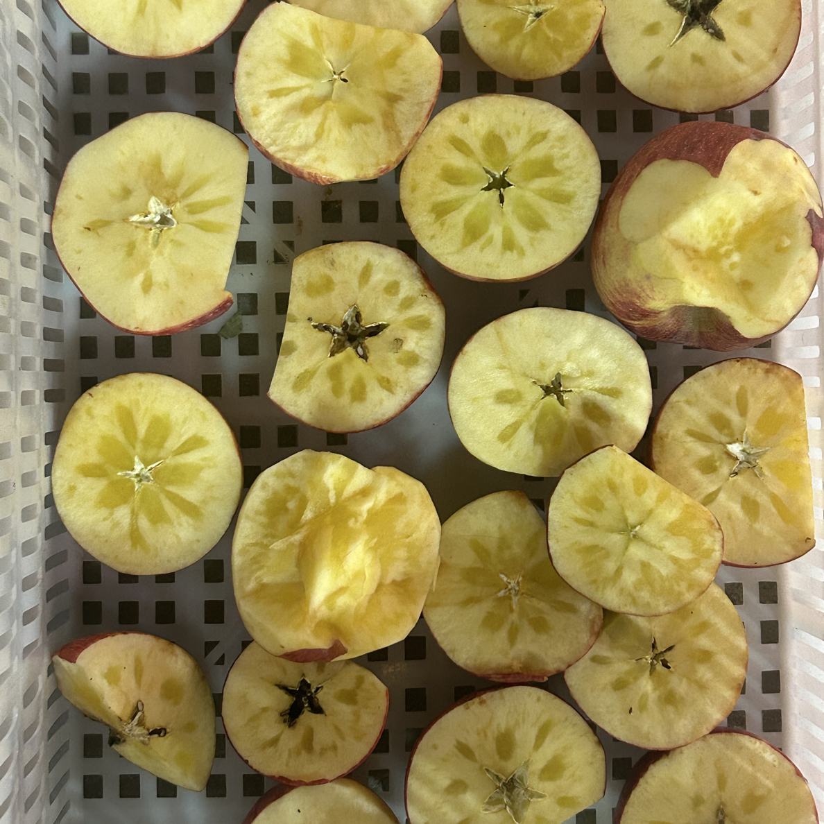 四川高原冰糖心苹果（冰雹果，正常削皮吃不影响）