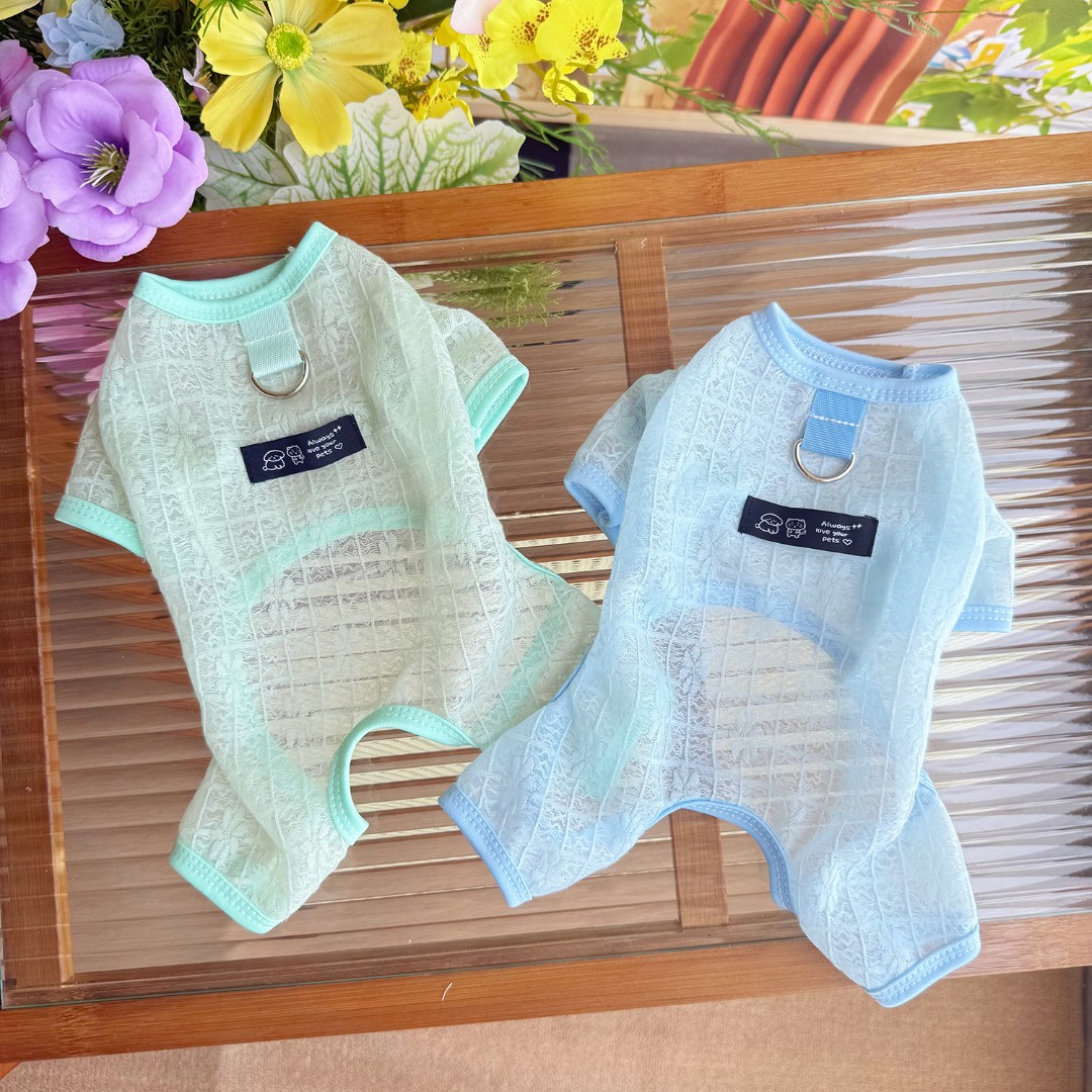 夏季薄款透气镂空网纱四脚衣狗狗衣服比熊博美防晒服降温防掉毛