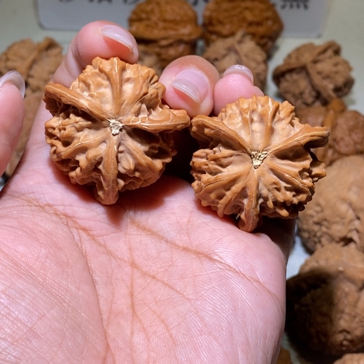 晨***阳核桃手串/手链三棱