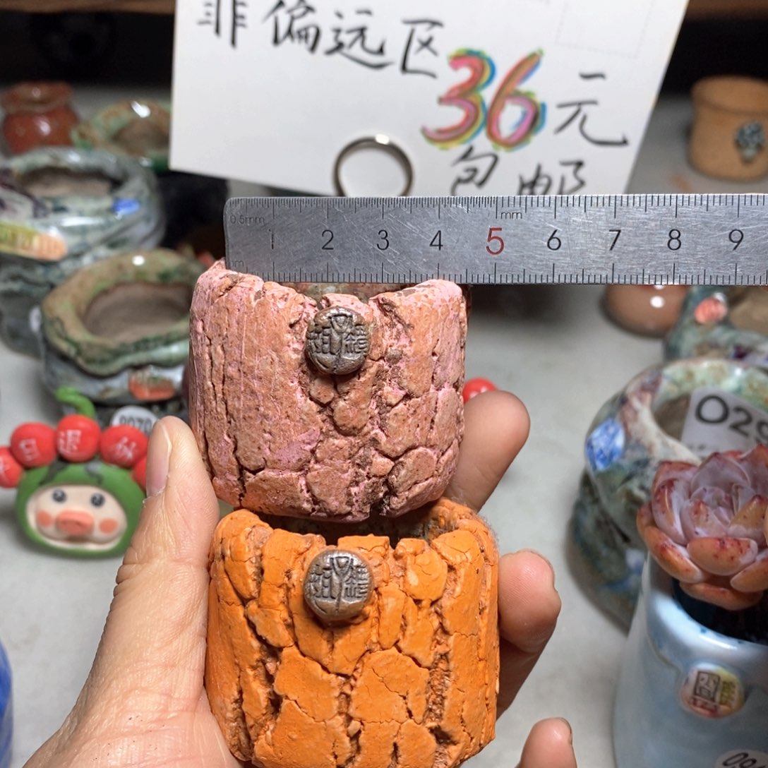 花盆双12特价活动不退不换