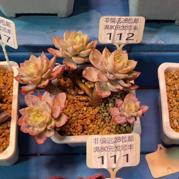 大112。vxbcncjvkhj