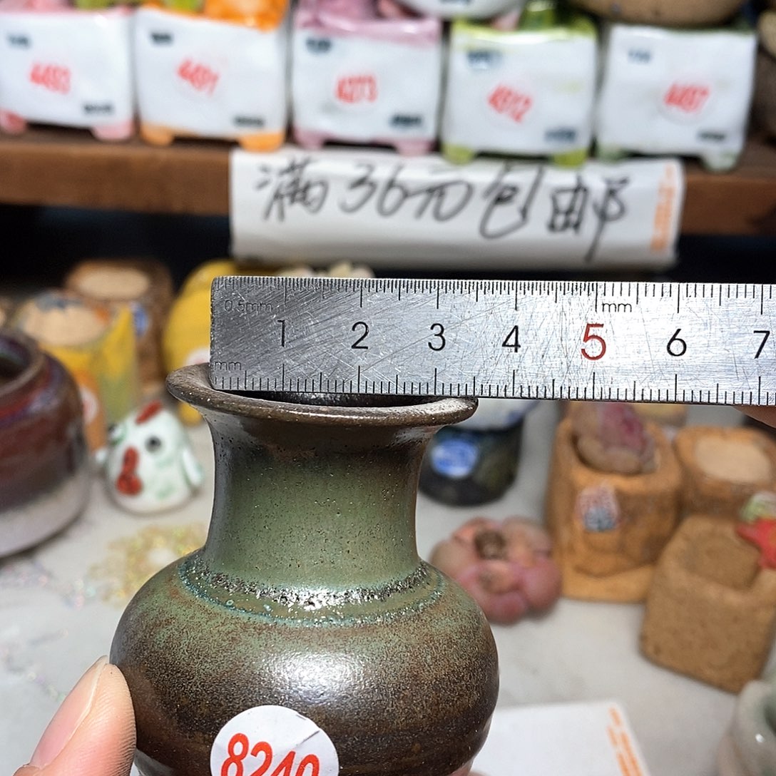 红陶拍5送一个小