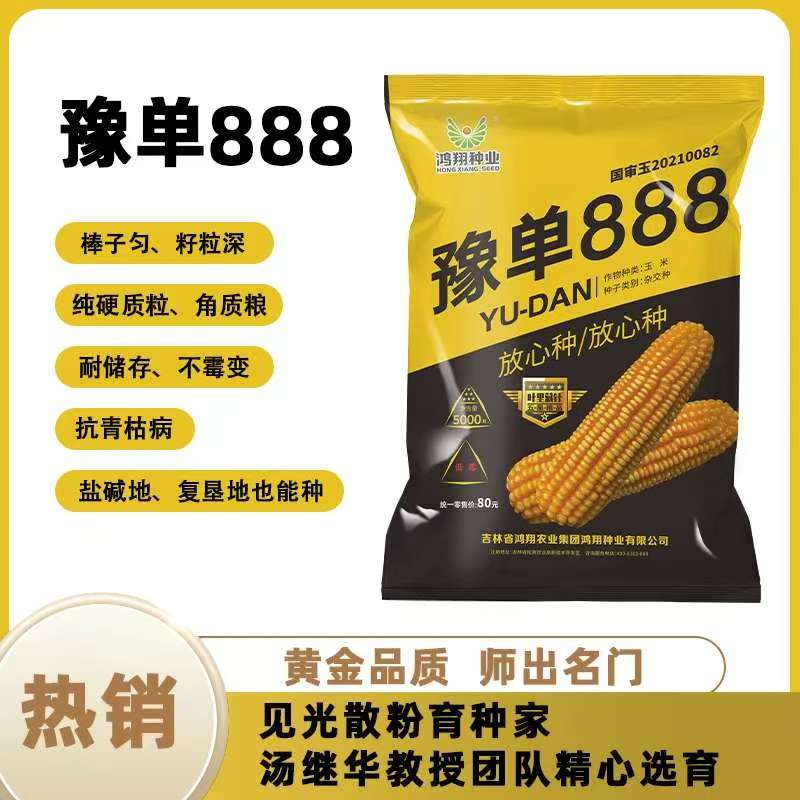 豫单888鸿翔种业黄淮海玉米种高产丰收抗病抗倒白轴