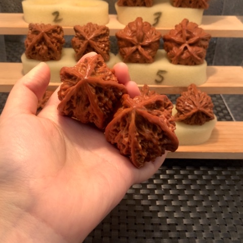 吊坠猴头核桃海***.五棱