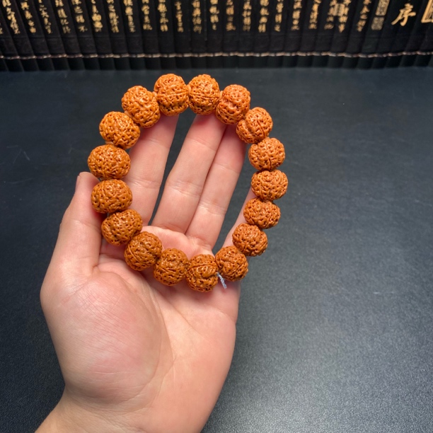 尼泊尔大金刚菩提（1号）