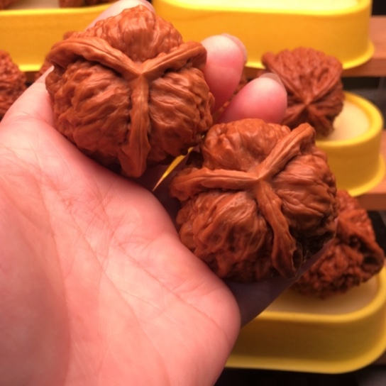 风***噬文玩核桃吊坠核桃