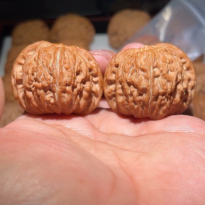 提***冲木42好蝴蝶。        