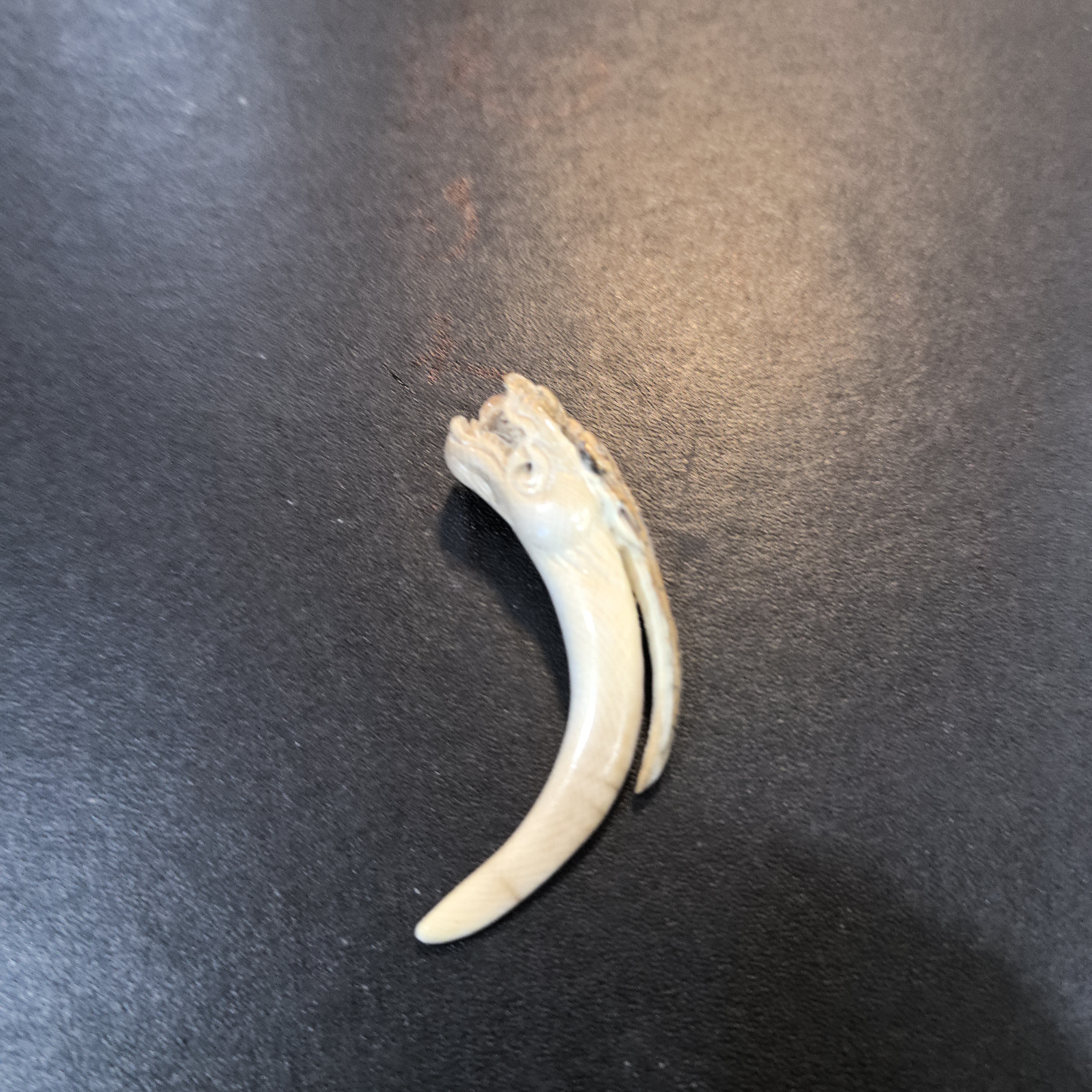 猛犸约7.3克雕刻牌BC1634