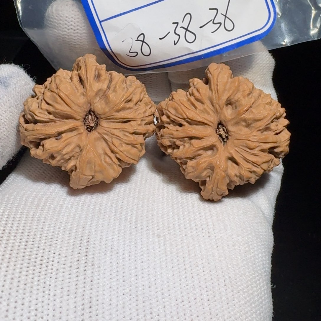 文玩核桃把件7号村将有黄