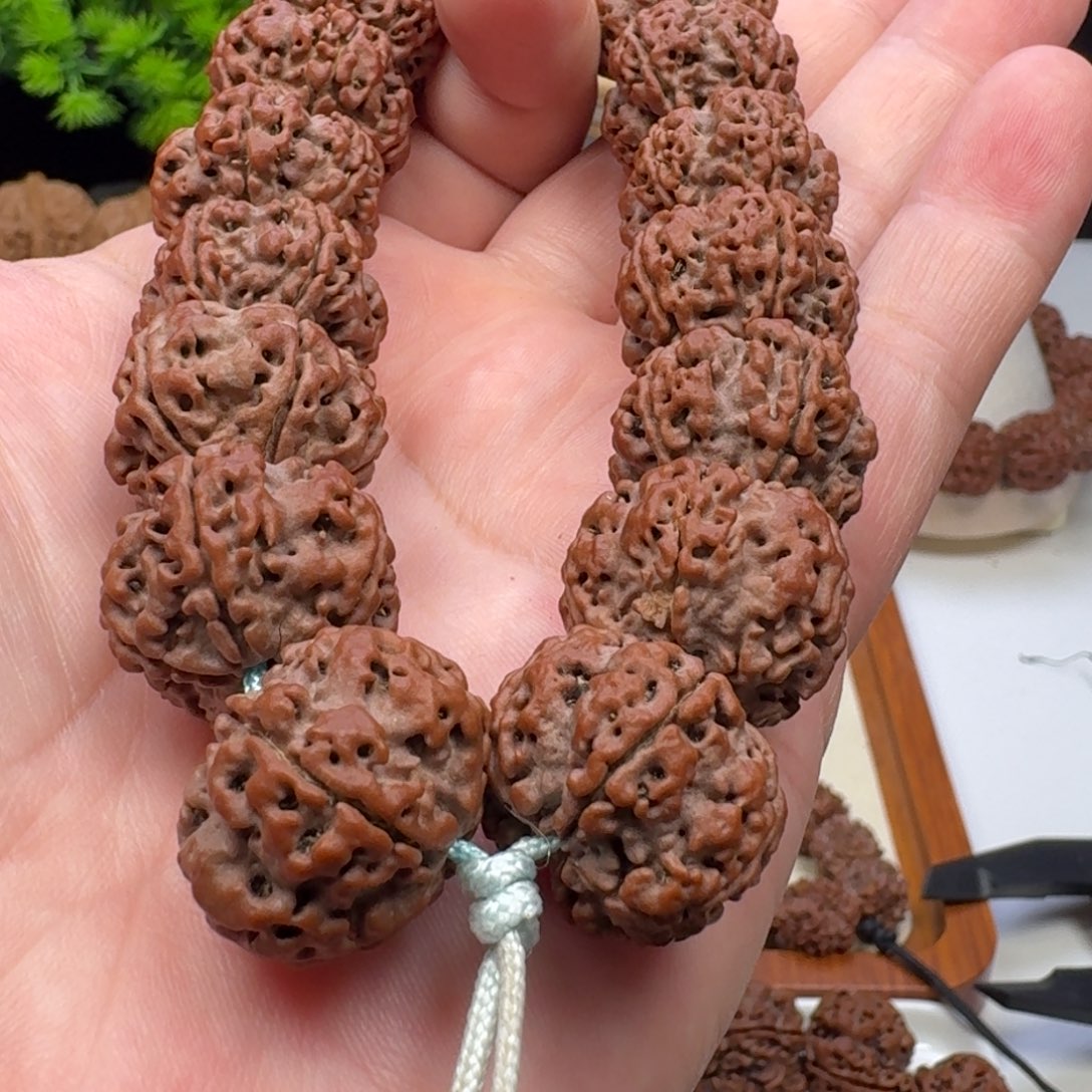 金刚菩提手串梅花