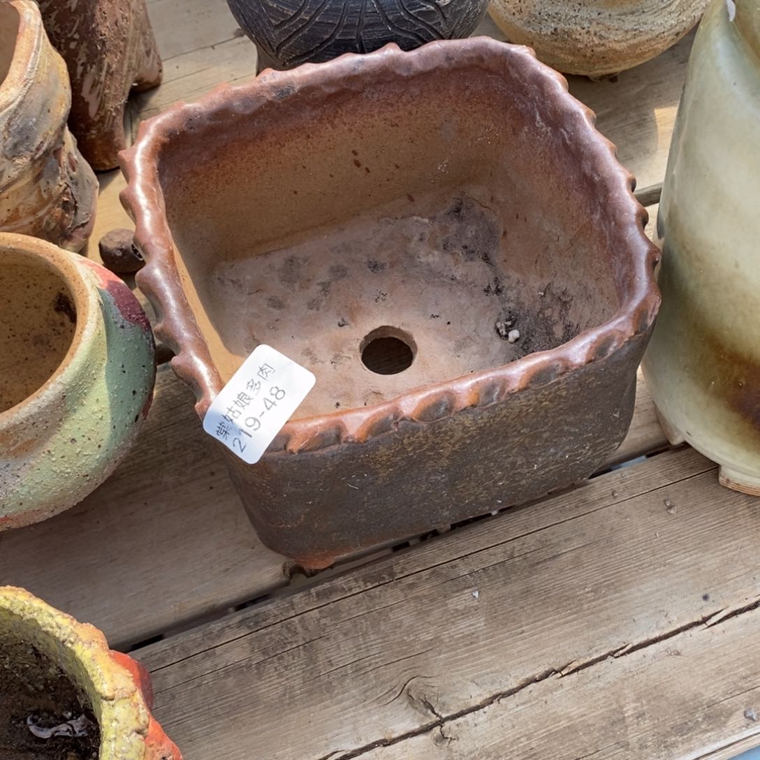红陶用****948号的人盆一个呀