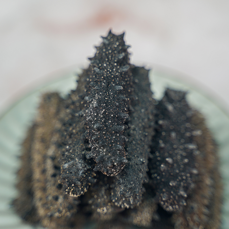 大连淡干海参高倍泡发干净深海加工营养滋补佳品