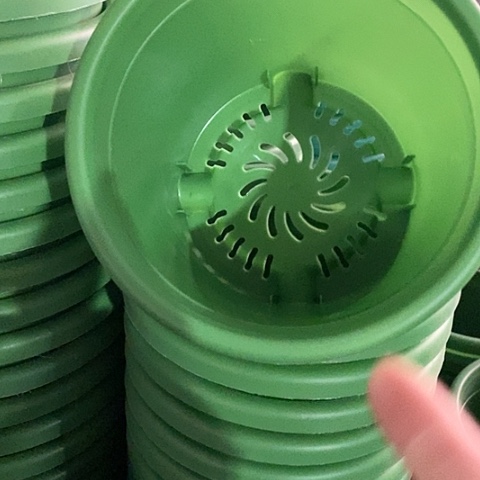 树脂四季3号草绿无托10个