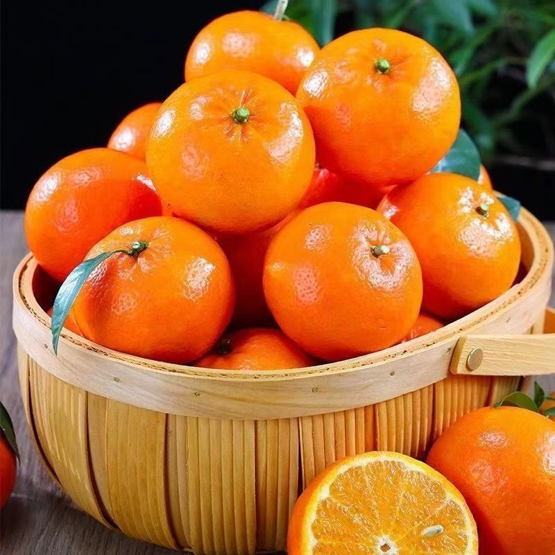 C12广西武鸣老树沃柑当季新鲜水果皮薄多汁15枚单果110g+