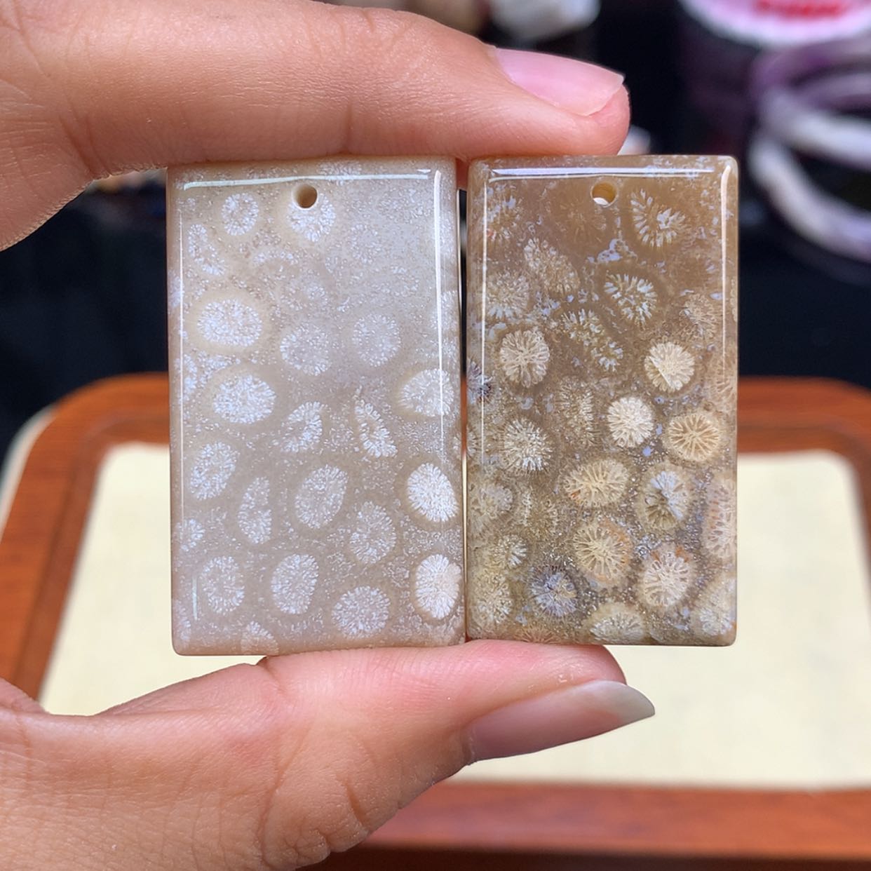 【闪购商品】颈饰未镶嵌硅化珊瑚（珊瑚玉）58号福利
