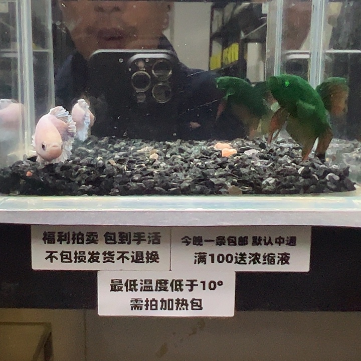 斗鱼跑單拉黑25日28